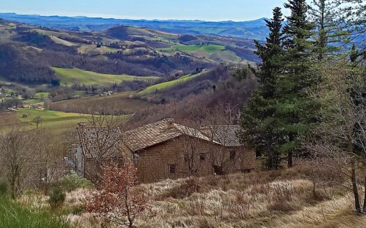 RIF. 874 IMMOBILE DEL XIV SECOLO