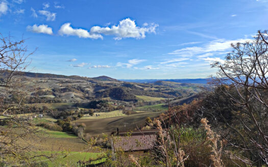 RIF. 874 IMMOBILE DEL XIV SECOLO