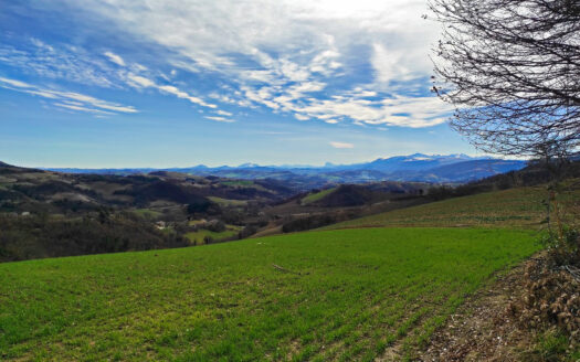 RIF. 874 IMMOBILE DEL XIV SECOLO