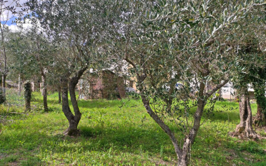 RIF. 875 SOLUZIONE BIFAMILIARE VERSANTE MACERATA