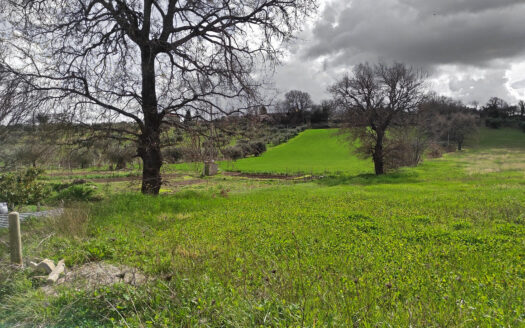 RIF. 875 SOLUZIONE BIFAMILIARE VERSANTE MACERATA