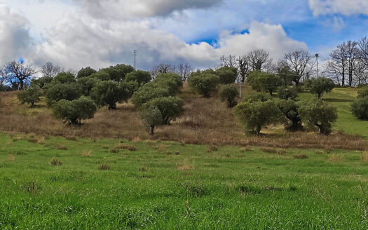 RIF. 875 SOLUZIONE BIFAMILIARE VERSANTE MACERATA