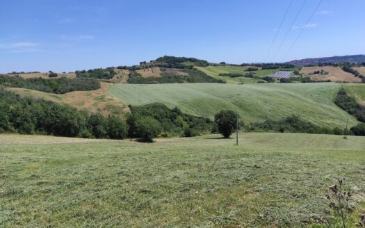 RIF. 892 OTTIMO TERRENO AGRICOLO