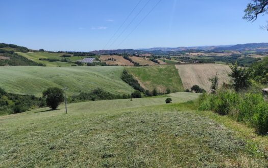 RIF. 892 OTTIMO TERRENO AGRICOLO