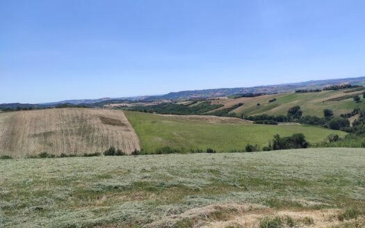 RIF. 892 OTTIMO TERRENO AGRICOLO