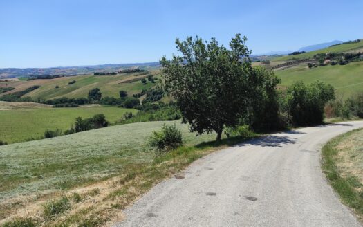 RIF. 892 OTTIMO TERRENO AGRICOLO