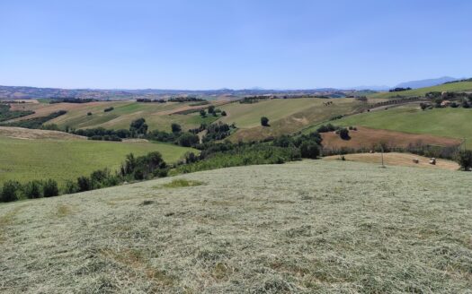 RIF. 892 OTTIMO TERRENO AGRICOLO