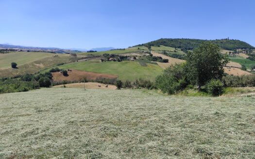 RIF. 892 OTTIMO TERRENO AGRICOLO