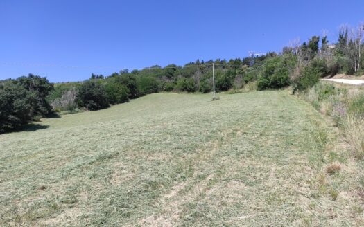 RIF. 892 OTTIMO TERRENO AGRICOLO