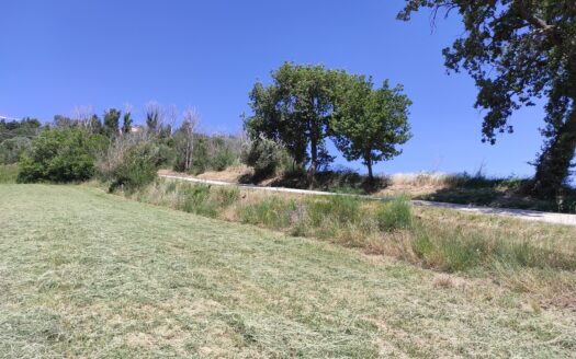 RIF. 892 OTTIMO TERRENO AGRICOLO