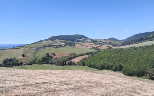 RIF. 892 OTTIMO TERRENO AGRICOLO