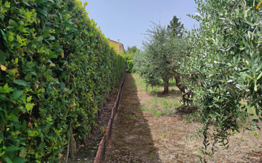 RIF. 894 VICINANZE VILLA STRADA