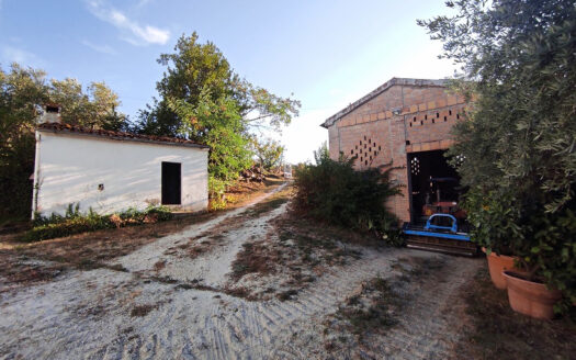 RIF. 901 CUPRAMONTANA CASALE CON TERRENO