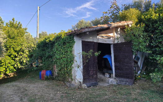 RIF. 901 CUPRAMONTANA CASALE CON TERRENO
