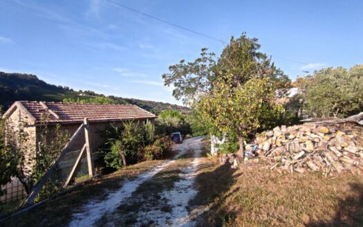RIF. 901 CUPRAMONTANA CASALE CON TERRENO