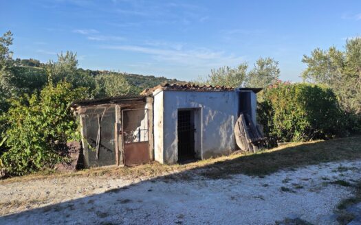 RIF. 901 CUPRAMONTANA CASALE CON TERRENO