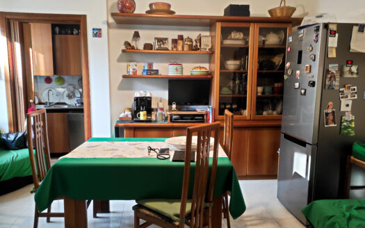 RIF. 897 APPARTAMENTO PIANO TERRA CON GIARDINO