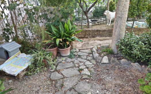RIF. 897 APPARTAMENTO PIANO TERRA CON GIARDINO