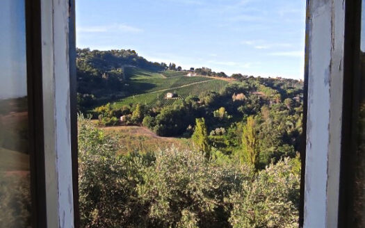 RIF. 901 CUPRAMONTANA CASALE CON TERRENO