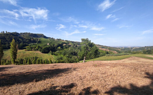 RIF. 901 CUPRAMONTANA CASALE CON TERRENO