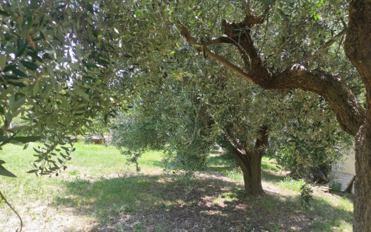 RIF. 902 CASINA DI CAMPAGNA