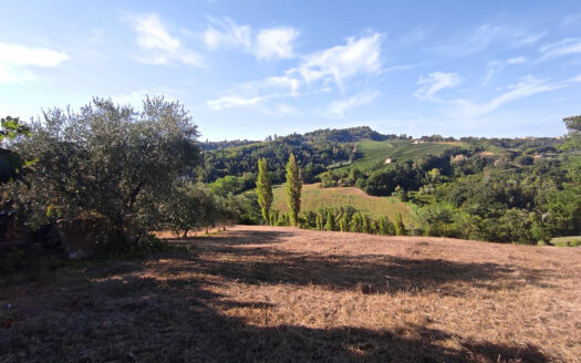 RIF. 901 CUPRAMONTANA CASALE CON TERRENO