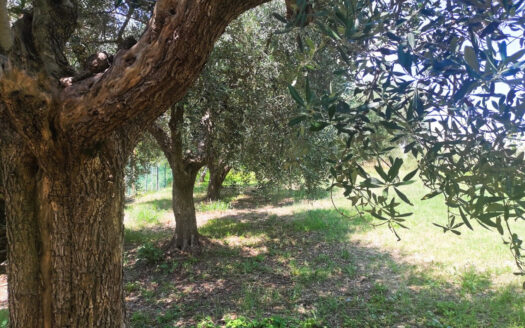 RIF. 902 CASINA DI CAMPAGNA