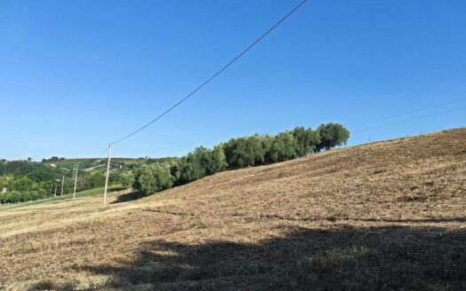 RIF. 901 CUPRAMONTANA CASALE CON TERRENO
