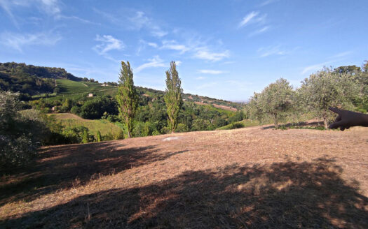 RIF. 901 CUPRAMONTANA CASALE CON TERRENO