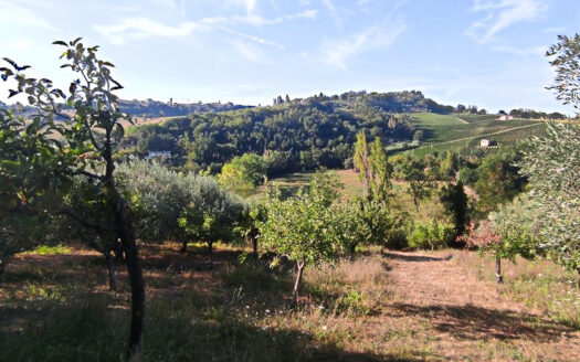 RIF. 901 CUPRAMONTANA CASALE CON TERRENO