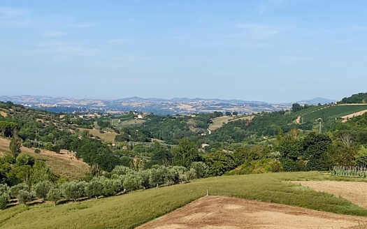 RIF. 901 CUPRAMONTANA CASALE CON TERRENO