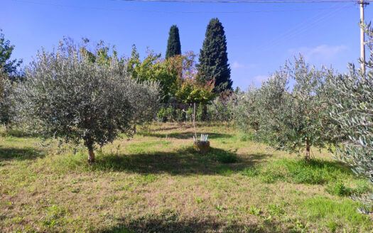 RIF. 913 APPARTAMENTO CON GIARDINO E GARAGE
