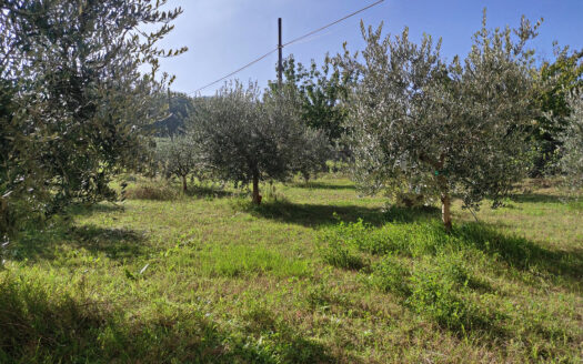 RIF. 913 APPARTAMENTO CON GIARDINO E GARAGE