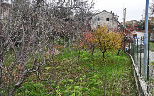 RIF. 915 CASALE DEL XIX SECOLO