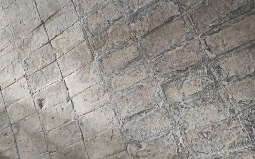 RIF. 915 CASALE DEL XIX SECOLO