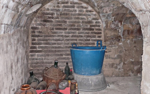 RIF. 915 CASALE DEL XIX SECOLO