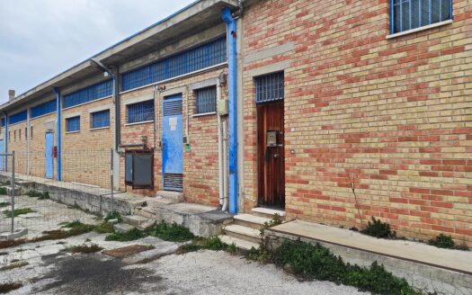 CAPANNONE ZONA Z.I.P.A.