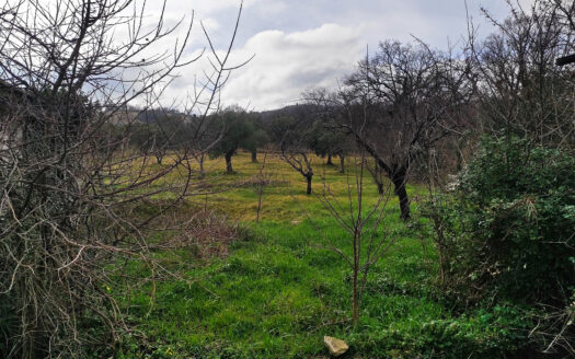 RIF. 922 CASA INDIPENDENTE VERSANTE MACERATA