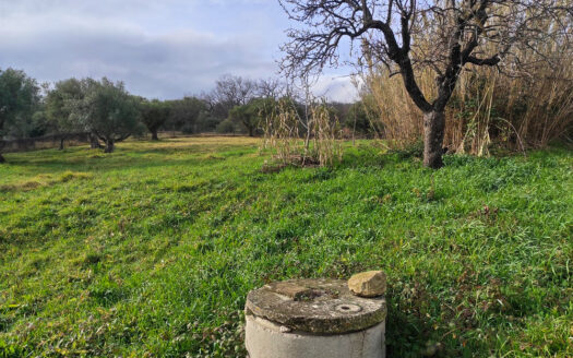 RIF. 922 CASA INDIPENDENTE VERSANTE MACERATA