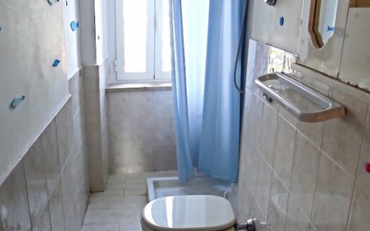 RIF. 24 SOLUZIONE COMPOSTA DA DUE APPARTAMENTI, GARAGE E GIARDINO