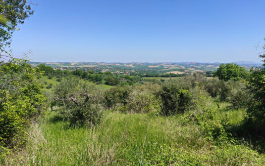 Rif. 46 CASALE RISTRUTTURATO IMMERSO NELLA NATURA, PANORAMA INCOMPARABILE