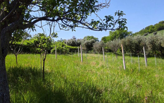 Rif. 46 CASALE RISTRUTTURATO IMMERSO NELLA NATURA, PANORAMA INCOMPARABILE