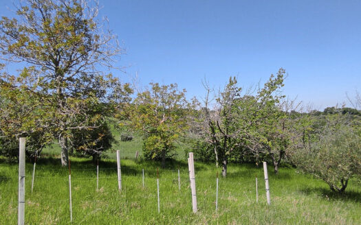 Rif. 46 CASALE RISTRUTTURATO IMMERSO NELLA NATURA, PANORAMA INCOMPARABILE