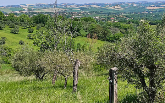 Rif. 46 CASALE RISTRUTTURATO IMMERSO NELLA NATURA, PANORAMA INCOMPARABILE