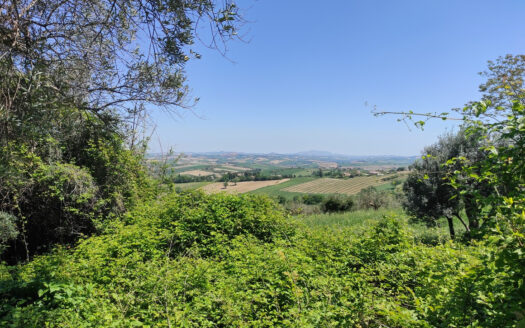 Rif. 46 CASALE RISTRUTTURATO IMMERSO NELLA NATURA, PANORAMA INCOMPARABILE