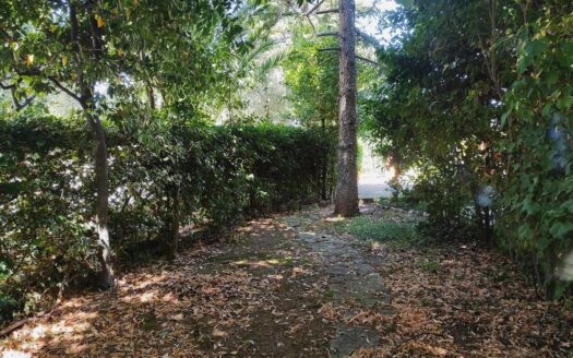 RIF. 945 VILLA STRADA APPARTAMENTO CON GIARDINO