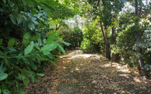 RIF. 945 VILLA STRADA APPARTAMENTO CON GIARDINO