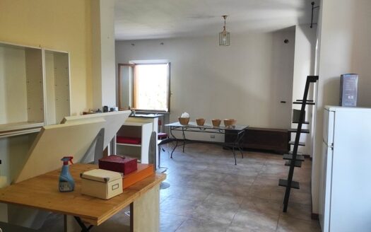 RIF. 945 VILLA STRADA APPARTAMENTO CON GIARDINO