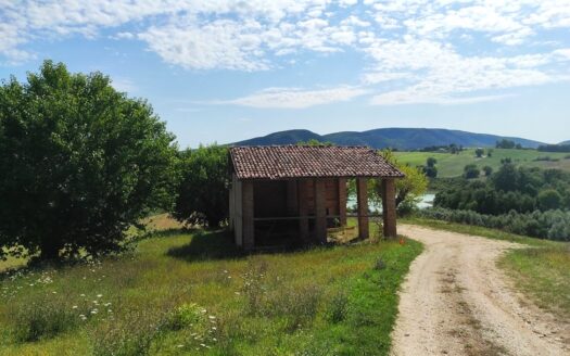 Cingoli Immobiliare RIF. 948 RUSTICO VISTA LAGO