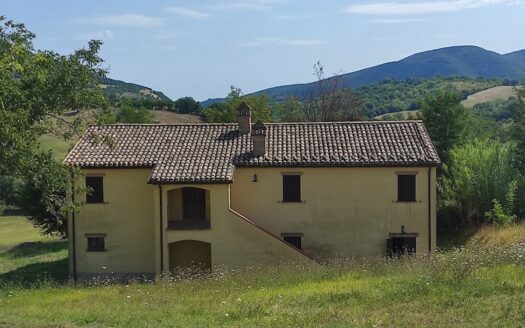 Cingoli Immobiliare RIF. 948 RUSTICO VISTA LAGO